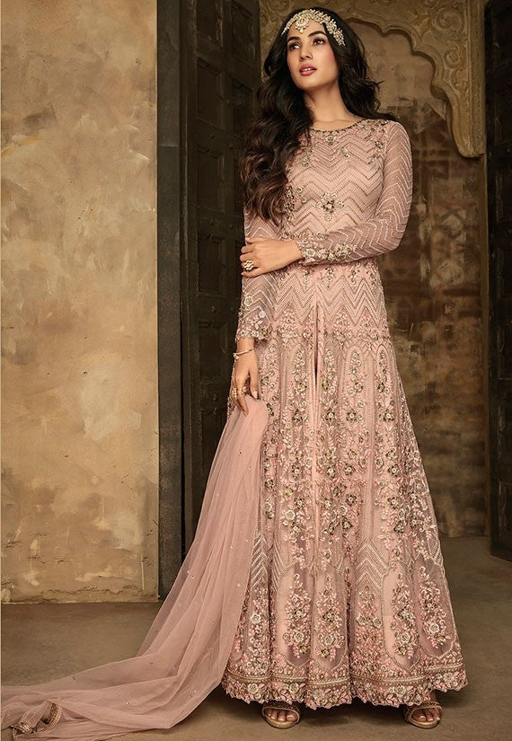 Blush Pink Sonal Chauhan Net Pant Style Suit 1239YD - ShreeFashionWear  