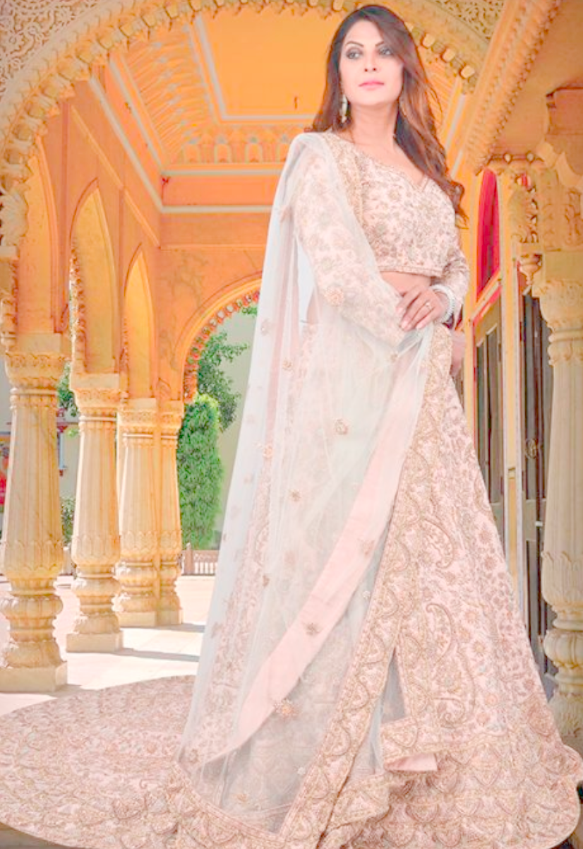 Peach Net Butterfly Embroidered Lehenga For Weddings | Latest Kurti Designs