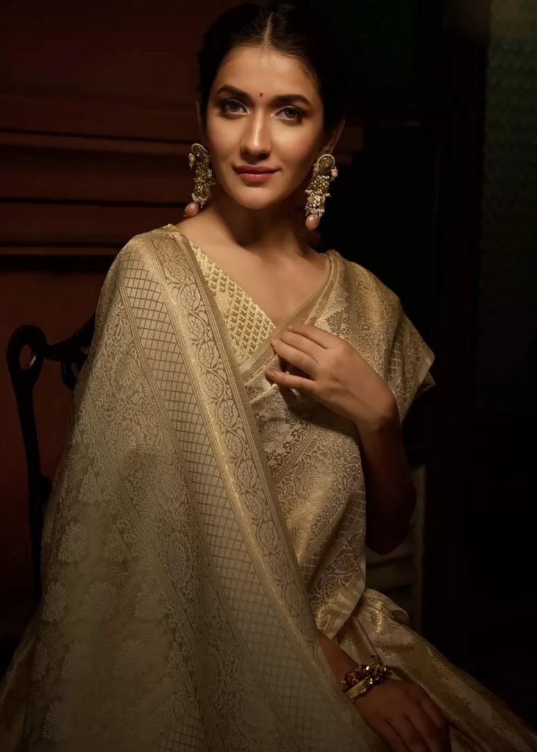 Hema Malini Sari at Esha Deol Wedding Reception - Saree Blouse Patterns