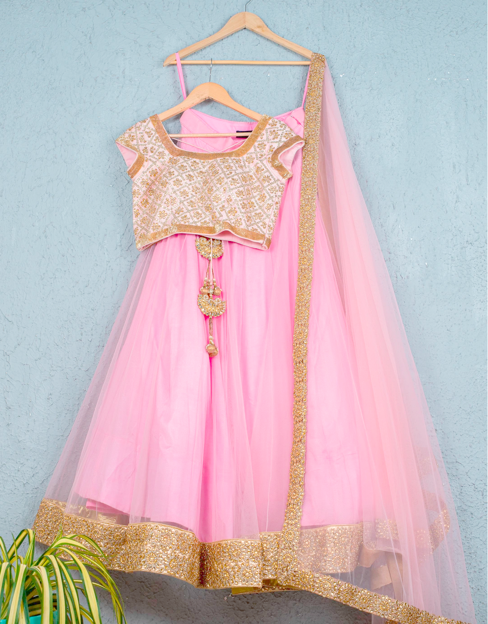 Seraphic Pink Lehenga Choli Gold Blouse In Net INSPMAY228 - ShreeFashionWear  