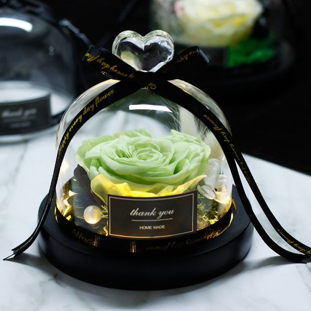 Luxury Brides Wedding Gift Beauty And Beast Rose In Glass Dome - ShreeFashionWear  